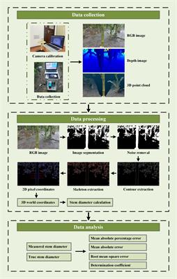 Detection of maize stem diameter by using RGB-D cameras’ depth information under selected field condition